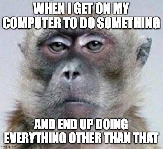 Vexed Monkey | WHEN I GET ON MY COMPUTER TO DO SOMETHING; AND END UP DOING EVERYTHING OTHER THAN THAT | image tagged in vexed monkey | made w/ Imgflip meme maker