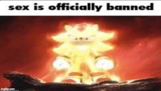 Sex is officially banned | image tagged in sex is officially banned | made w/ Imgflip meme maker