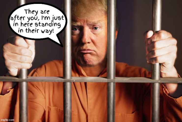 They are coming after you? | They are after you, I'm just in here standing in their way! | image tagged in donald trump,jailewd,locked up,lock um up,maga,fani willis | made w/ Imgflip meme maker