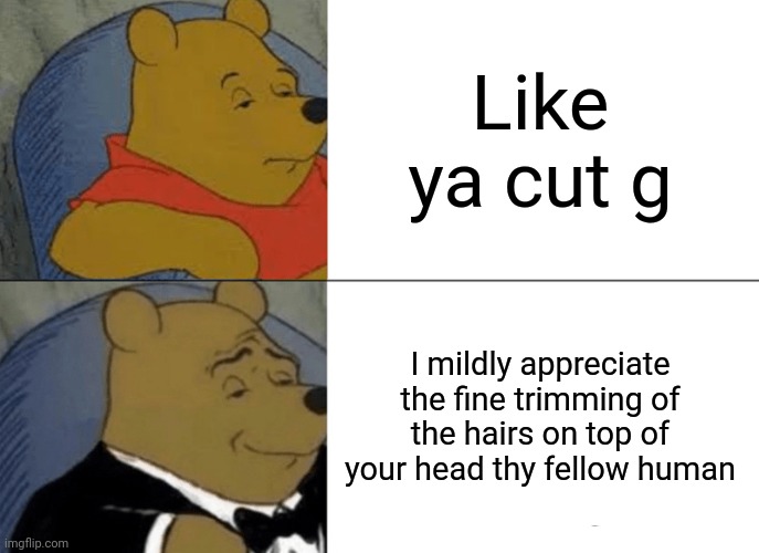 Hair | Like ya cut g; I mildly appreciate the fine trimming of the hairs on top of your head thy fellow human | image tagged in memes,tuxedo winnie the pooh | made w/ Imgflip meme maker