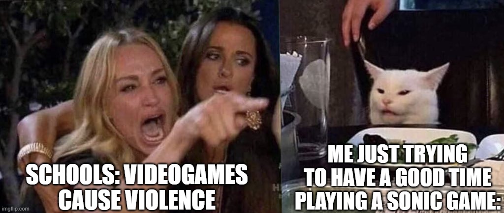 let me play my games | SCHOOLS: VIDEOGAMES CAUSE VIOLENCE; ME JUST TRYING TO HAVE A GOOD TIME PLAYING A SONIC GAME: | image tagged in woman yelling at cat | made w/ Imgflip meme maker