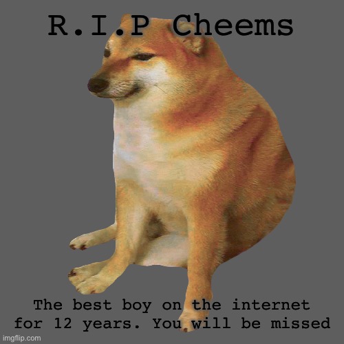 Rest in peace Cheems. Fly high | R.I.P Cheems; The best boy on the internet for 12 years. You will be missed | image tagged in cheems,rest in peace,sad,memes,press f to pay respects,goodbye | made w/ Imgflip meme maker