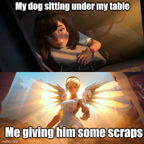 He's just chilling under the table (he's definitely not begging) | My dog sitting under my table; Me giving him some scraps | image tagged in overwatch mercy meme,dogs,food,begging,happy,bread crumbs | made w/ Imgflip meme maker