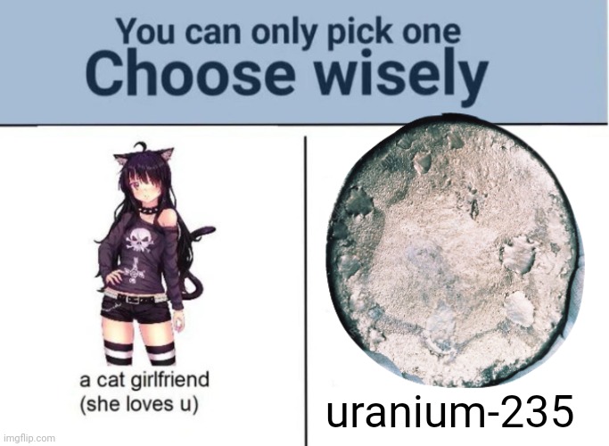 Choose wisely | uranium-235 | image tagged in choose wisely | made w/ Imgflip meme maker