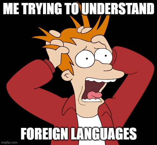 It's so confusing | ME TRYING TO UNDERSTAND; FOREIGN LANGUAGES | image tagged in futurama fry screaming | made w/ Imgflip meme maker