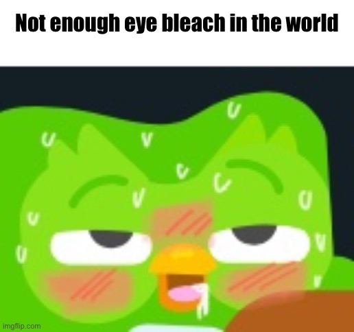 Ayo duolingo?! | Not enough eye bleach in the world | made w/ Imgflip meme maker