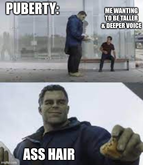 Puberty Be Like | ME WANTING TO BE TALLER & DEEPER VOICE; PUBERTY:; ASS HAIR | image tagged in hulk taco scene | made w/ Imgflip meme maker