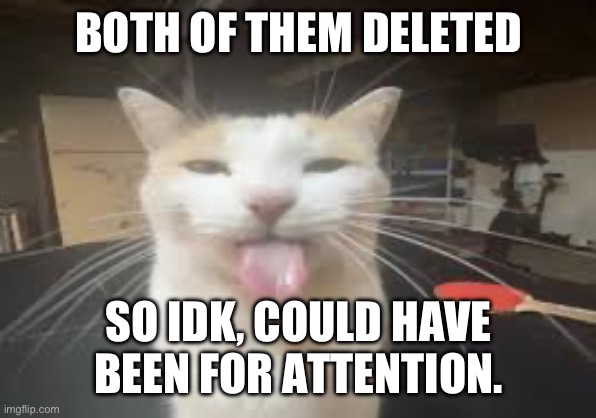 Cat | BOTH OF THEM DELETED; SO IDK, COULD HAVE BEEN FOR ATTENTION. | image tagged in cat | made w/ Imgflip meme maker
