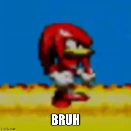 Bruh Knuckles | BRUH | image tagged in bruh knuckles | made w/ Imgflip meme maker