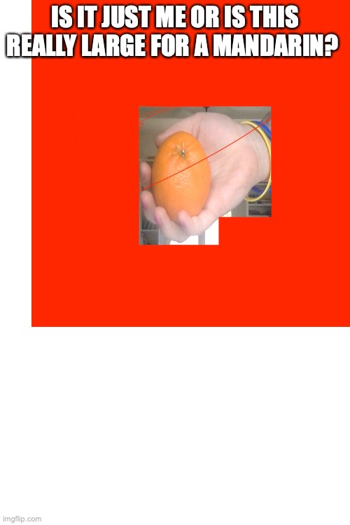 IS IT JUST ME OR IS THIS REALLY LARGE FOR A MANDARIN? | made w/ Imgflip meme maker