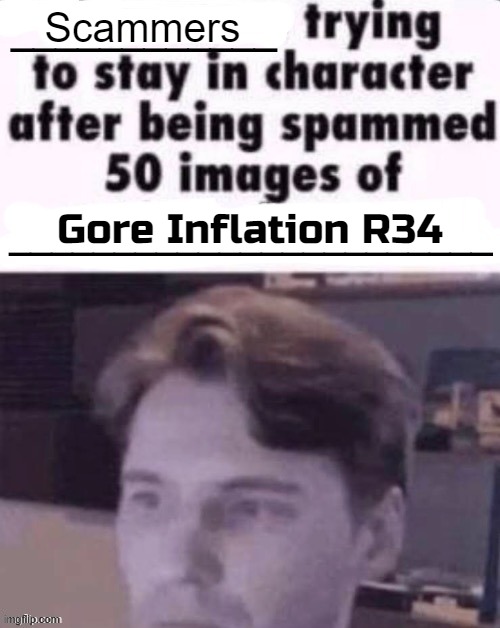 Time to break the TOS | Scammers; Gore Inflation R34 | image tagged in x trying to stay in character after being spammed 50 images of y | made w/ Imgflip meme maker