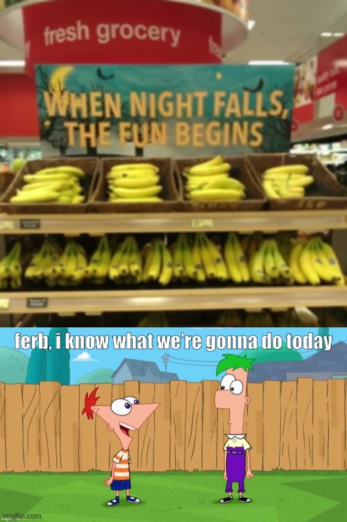 why tho | image tagged in ferb i know what we re gonna do today,funny,banana,you had one job | made w/ Imgflip meme maker