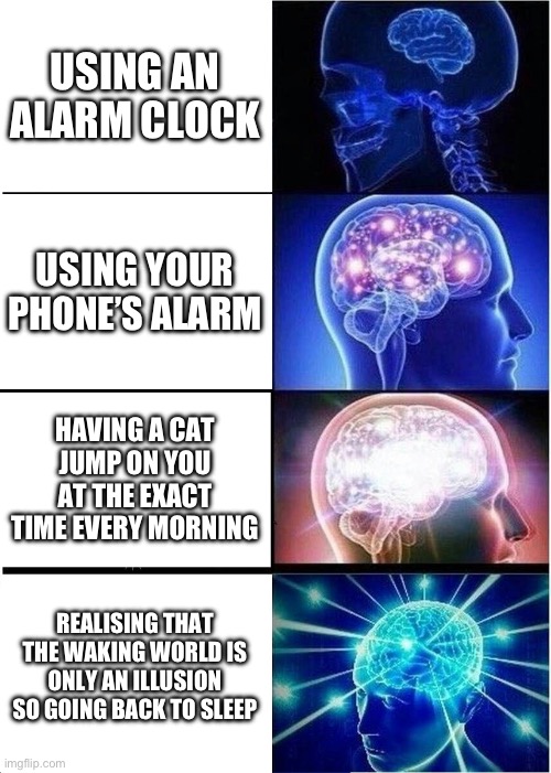 Expanding Brain | USING AN ALARM CLOCK; USING YOUR PHONE’S ALARM; HAVING A CAT JUMP ON YOU AT THE EXACT TIME EVERY MORNING; REALISING THAT THE WAKING WORLD IS ONLY AN ILLUSION SO GOING BACK TO SLEEP | image tagged in memes,expanding brain | made w/ Imgflip meme maker