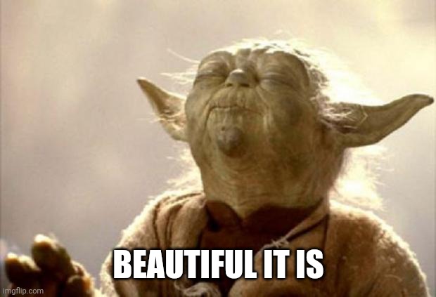 yoda smell | BEAUTIFUL IT IS | image tagged in yoda smell | made w/ Imgflip meme maker