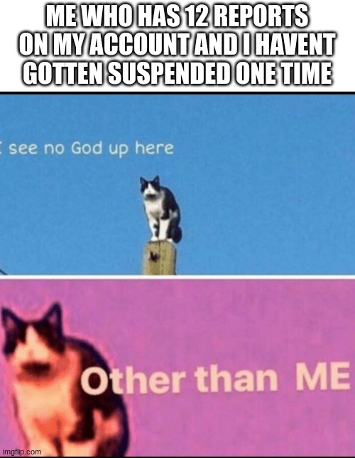 I see no god up here other than me | ME WHO HAS 12 REPORTS ON MY ACCOUNT AND I HAVENT GOTTEN SUSPENDED ONE TIME | image tagged in i see no god up here other than me | made w/ Imgflip meme maker