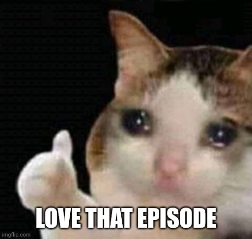 sad thumbs up cat | LOVE THAT EPISODE | image tagged in sad thumbs up cat | made w/ Imgflip meme maker