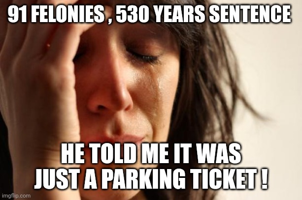 91 felons | 91 FELONIES , 530 YEARS SENTENCE; HE TOLD ME IT WAS JUST A PARKING TICKET ! | image tagged in memes,first world problems | made w/ Imgflip meme maker