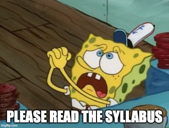 begging | PLEASE READ THE SYLLABUS | image tagged in begging | made w/ Imgflip meme maker