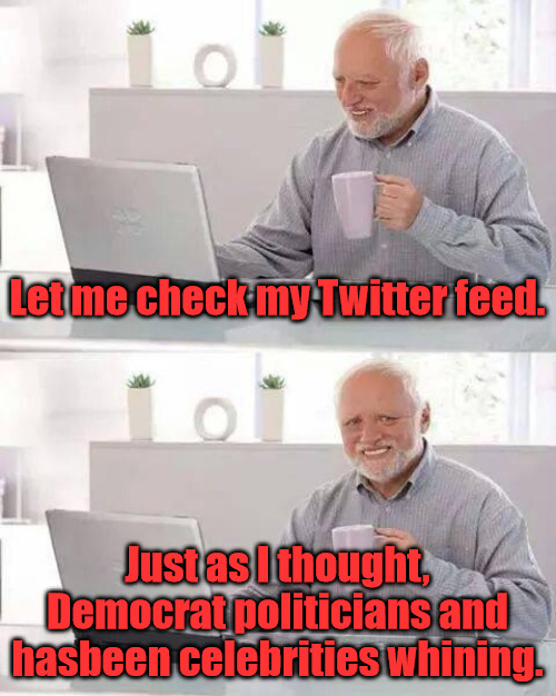 Whining Twitter Feed | Let me check my Twitter feed. Just as I thought, Democrat politicians and hasbeen celebrities whining. | image tagged in memes,hide the pain harold | made w/ Imgflip meme maker
