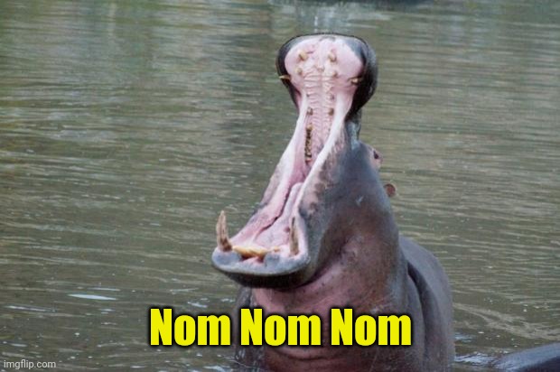 Hippo Mouth Open | Nom Nom Nom | image tagged in hippo mouth open | made w/ Imgflip meme maker
