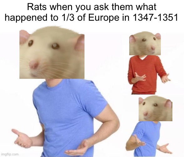 Bubonic plague meme | Rats when you ask them what happened to 1/3 of Europe in 1347-1351 | image tagged in shrugging boy,plague,rats | made w/ Imgflip meme maker
