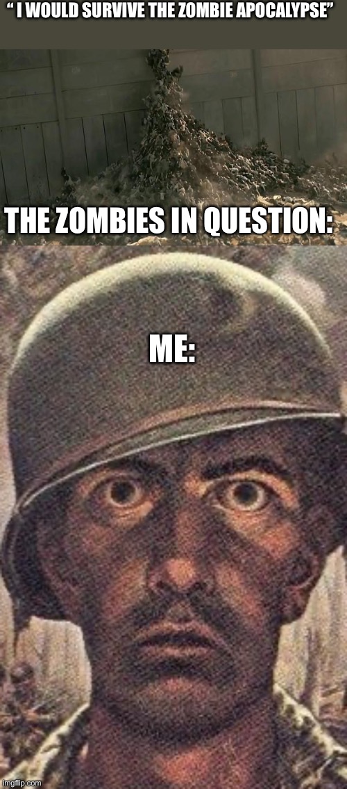 “ I WOULD SURVIVE THE ZOMBIE APOCALYPSE”; ME:; THE ZOMBIES IN QUESTION: | image tagged in world war z meme,1000 yard stare | made w/ Imgflip meme maker