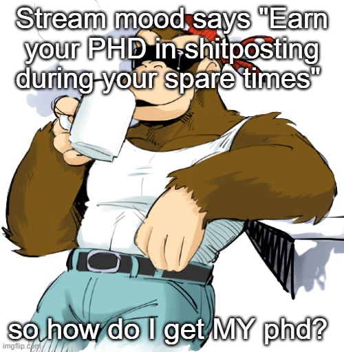 literally me | Stream mood says "Earn your PHD in shitposting during your spare times"; so how do I get MY phd? | image tagged in literally me | made w/ Imgflip meme maker