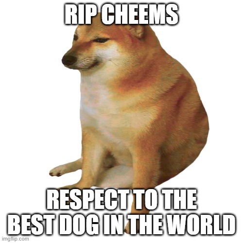 We will miss you. You will always be the best meme dog. | RIP CHEEMS; RESPECT TO THE BEST DOG IN THE WORLD | image tagged in cheems,sad but true,rip,front page,press f to pay respects | made w/ Imgflip meme maker