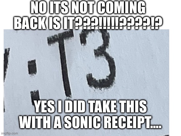 T3 | NO ITS NOT COMING BACK IS IT???!!!!!????!? YES I DID TAKE THIS WITH A SONIC RECEIPT…. | image tagged in sonic,rollercoaster,funny memes,kentucky | made w/ Imgflip meme maker