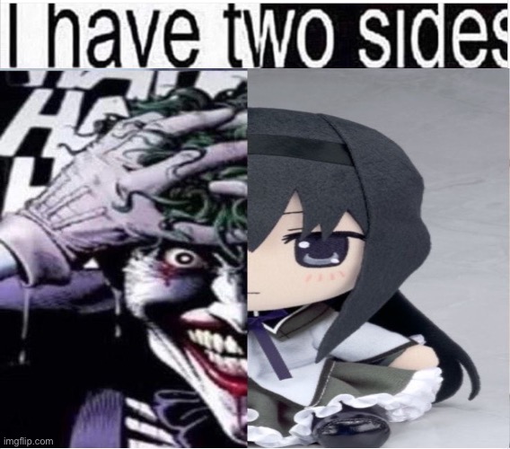 I Have Two Sides | image tagged in i have two sides | made w/ Imgflip meme maker