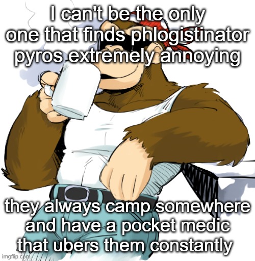 literally me | I can't be the only one that finds phlogistinator pyros extremely annoying; they always camp somewhere and have a pocket medic that ubers them constantly | image tagged in literally me | made w/ Imgflip meme maker