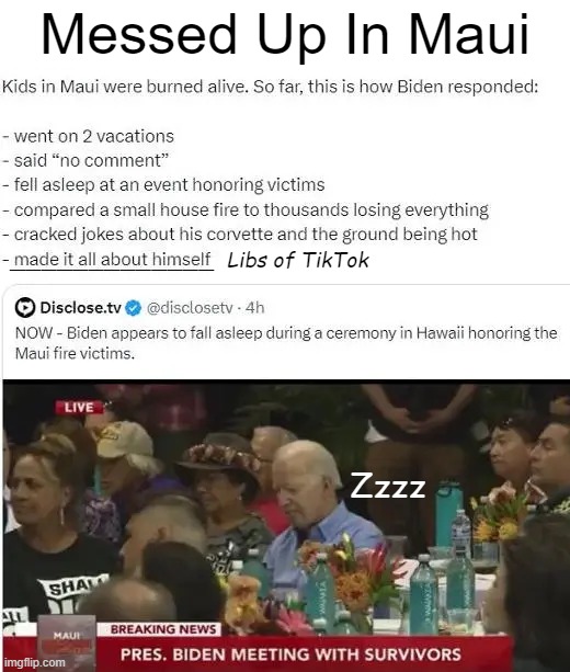 One Hot Mess | Messed Up In Maui; _____________; Libs of TikTok; Zzzz | image tagged in politics,joe biden,jerk,messed up,mess,maui | made w/ Imgflip meme maker