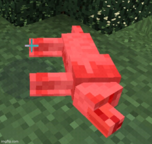 Dead Wolf | image tagged in dead wolf | made w/ Imgflip meme maker