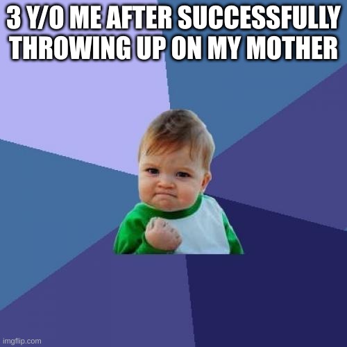 yeeah | 3 Y/O ME AFTER SUCCESSFULLY THROWING UP ON MY MOTHER | image tagged in memes,success kid | made w/ Imgflip meme maker