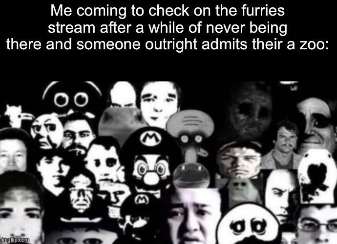 *insert LowTierGod meme here or something* | Me coming to check on the furries stream after a while of never being there and someone outright admits their a zoo: | made w/ Imgflip meme maker