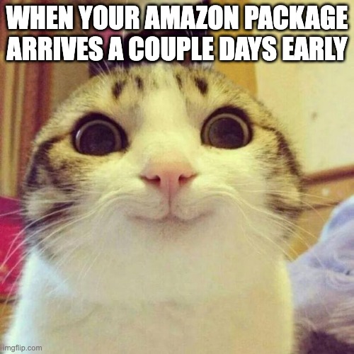 idk if this is funny or cringe | WHEN YOUR AMAZON PACKAGE ARRIVES A COUPLE DAYS EARLY | image tagged in memes,smiling cat | made w/ Imgflip meme maker