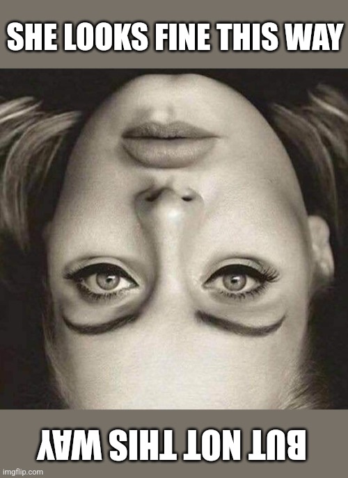 The Thatcher Effect (turn upside down) | SHE LOOKS FINE THIS WAY; BUT NOT THIS WAY | image tagged in upside down,optical illusion,mind,trick,adele | made w/ Imgflip meme maker