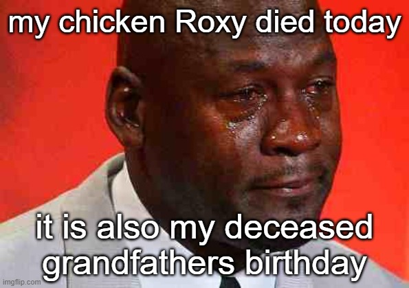 might not seem obvious, but i think God did this for a reason | my chicken Roxy died today; it is also my deceased grandfathers birthday | image tagged in crying michael jordan | made w/ Imgflip meme maker