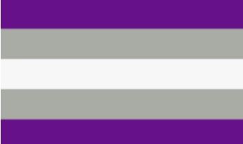 Greysexual flag Blank Meme Template