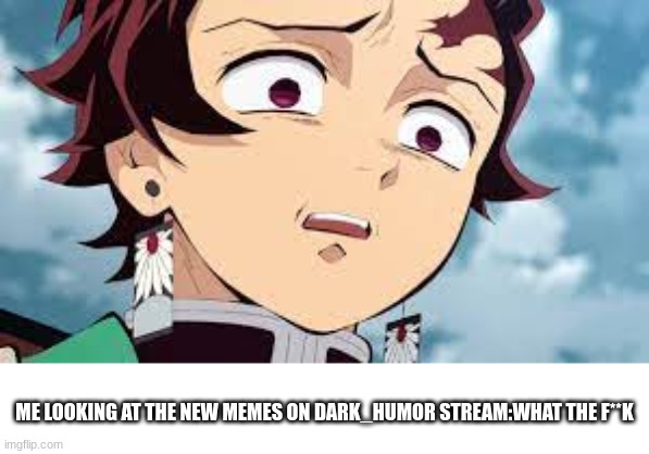 Some of them dont even make sense | ME LOOKING AT THE NEW MEMES ON DARK_HUMOR STREAM:WHAT THE F**K | image tagged in wtf | made w/ Imgflip meme maker