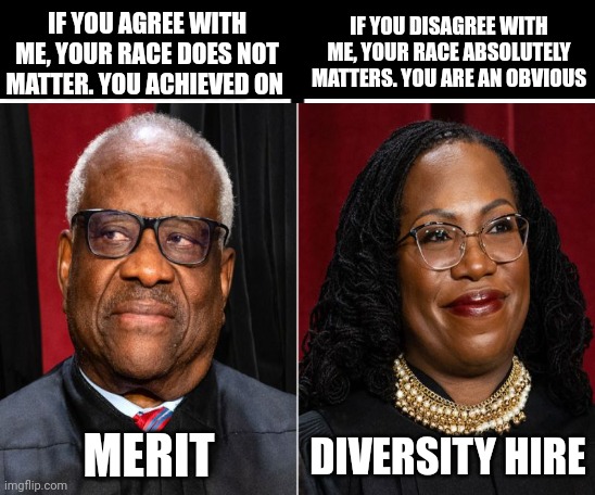 Doctrine of the Don't Care About Race-ists | IF YOU DISAGREE WITH ME, YOUR RACE ABSOLUTELY MATTERS. YOU ARE AN OBVIOUS; IF YOU AGREE WITH ME, YOUR RACE DOES NOT MATTER. YOU ACHIEVED ON; DIVERSITY HIRE; MERIT | image tagged in split | made w/ Imgflip meme maker