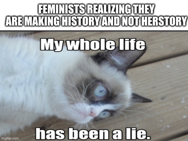 Hold up just one minute… | FEMINISTS REALIZING THEY ARE MAKING HISTORY AND NOT HERSTORY | image tagged in funny,cat,grumpy cat,femenist,feminism | made w/ Imgflip meme maker