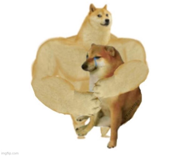 image tagged in big brother doge hugging little brother cheems | made w/ Imgflip meme maker
