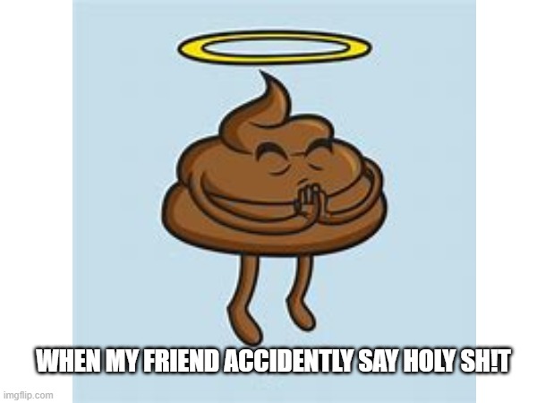 HOLY SH!T | WHEN MY FRIEND ACCIDENTLY SAY HOLY SH!T | image tagged in holy shit,funny,not racist | made w/ Imgflip meme maker