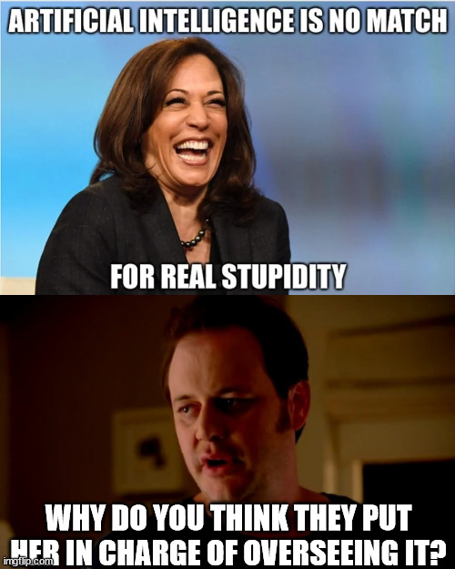 There's a reason why they put her in charge... | WHY DO YOU THINK THEY PUT HER IN CHARGE OF OVERSEEING IT? | image tagged in jake from state farm,kamala harris,human stupidity,artificial intelligence | made w/ Imgflip meme maker