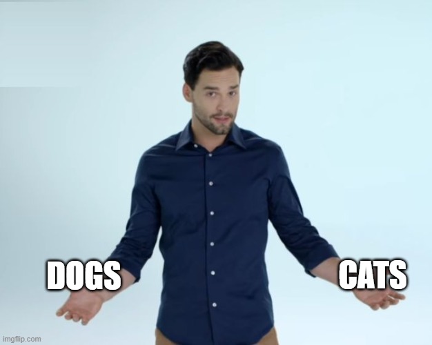 Hotel? Trivago | CATS; DOGS | image tagged in hotel trivago | made w/ Imgflip meme maker