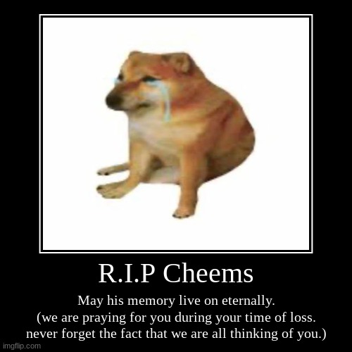 May he rest in peace ???? | R.I.P Cheems | May his memory live on eternally.
(we are praying for you during your time of loss. never forget the fact that we are all thi | image tagged in funny,demotivationals | made w/ Imgflip demotivational maker