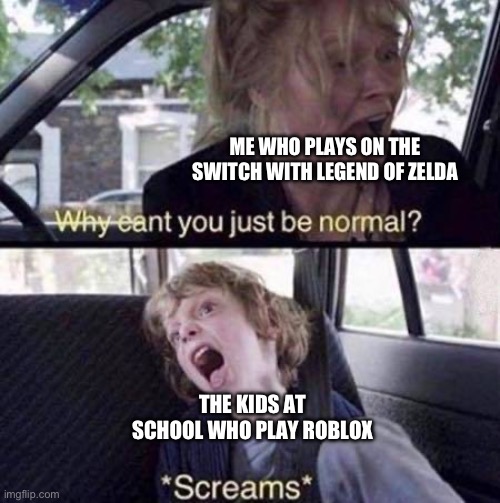 It happens too much. All the do is talk about you know what | ME WHO PLAYS ON THE SWITCH WITH LEGEND OF ZELDA; THE KIDS AT SCHOOL WHO PLAY ROBLOX | image tagged in why can't you just be normal,school,gaming | made w/ Imgflip meme maker