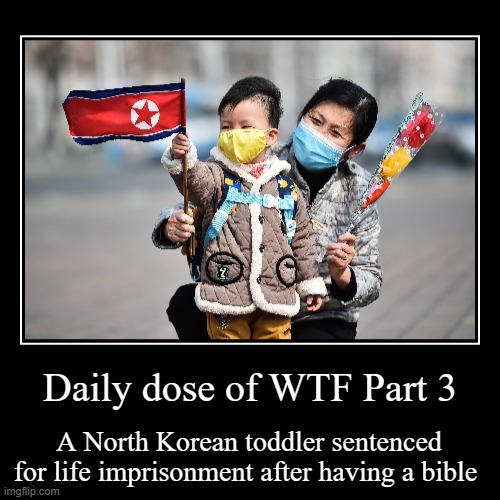 Daily dose of Wtf part 3 | Daily dose of WTF Part 3 | A North Korean toddler sentenced for life imprisonment after having a bible | image tagged in funny,demotivationals,wtf | made w/ Imgflip demotivational maker