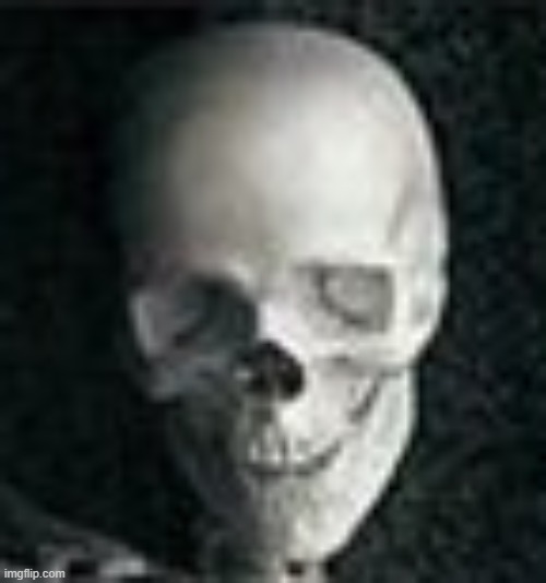 Skull | image tagged in skull | made w/ Imgflip meme maker